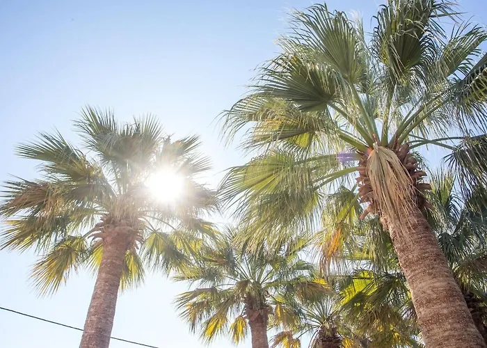 Malibu * Кремасти