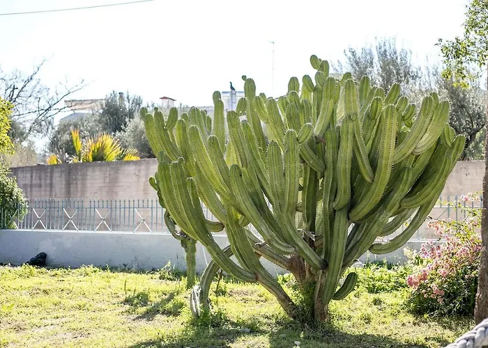 Malibu * Кремасти